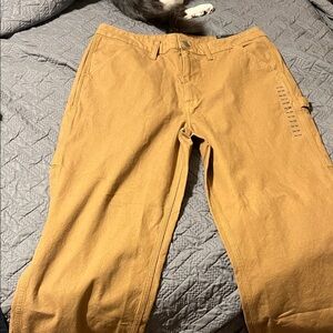 American Eagle Outfitters Men's Carpenter pants in Tan
